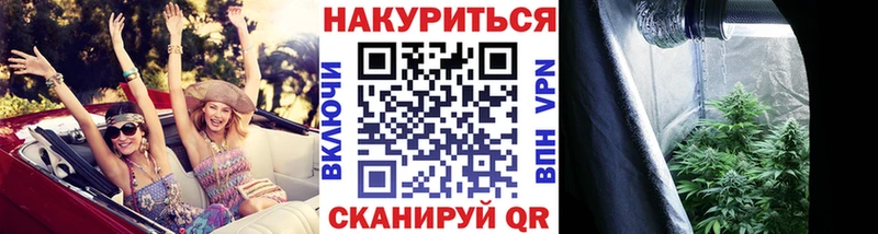 Канабис семена  наркотики  Уржум 